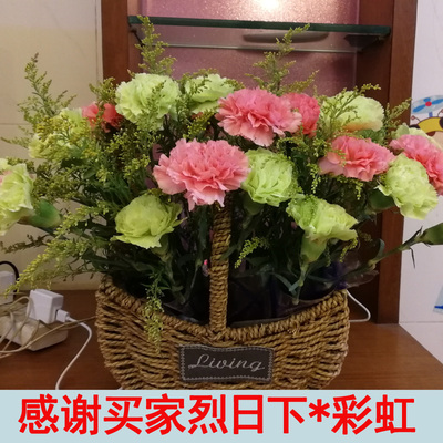 百合花玫瑰康乃馨雏菊向日葵